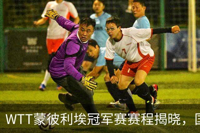 WTT蒙彼利埃冠军赛赛程揭晓，国乒选手备战半决赛